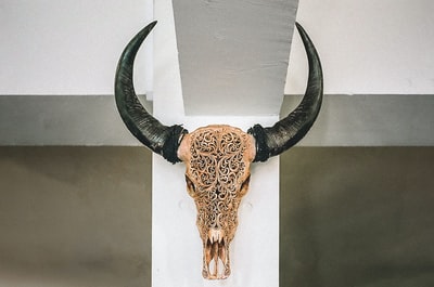 棕色和黑色长颈鹿头墙装饰
